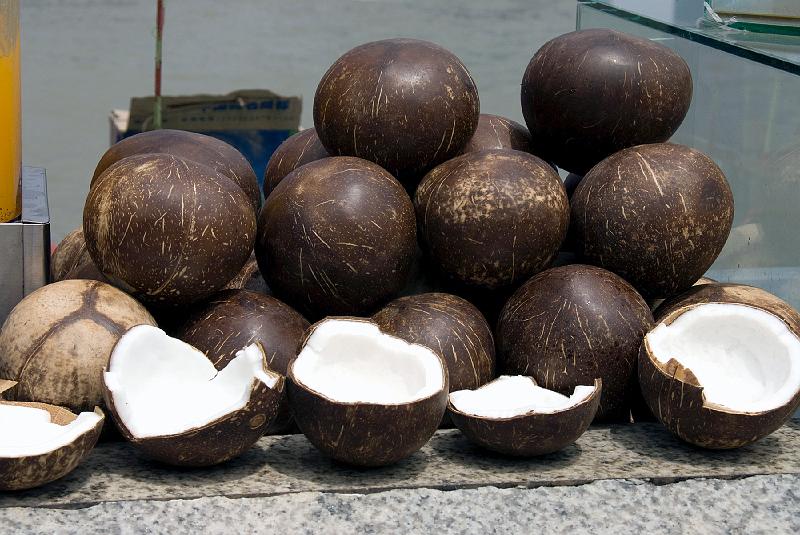 Coconuts on Pudong Promenade.jpg